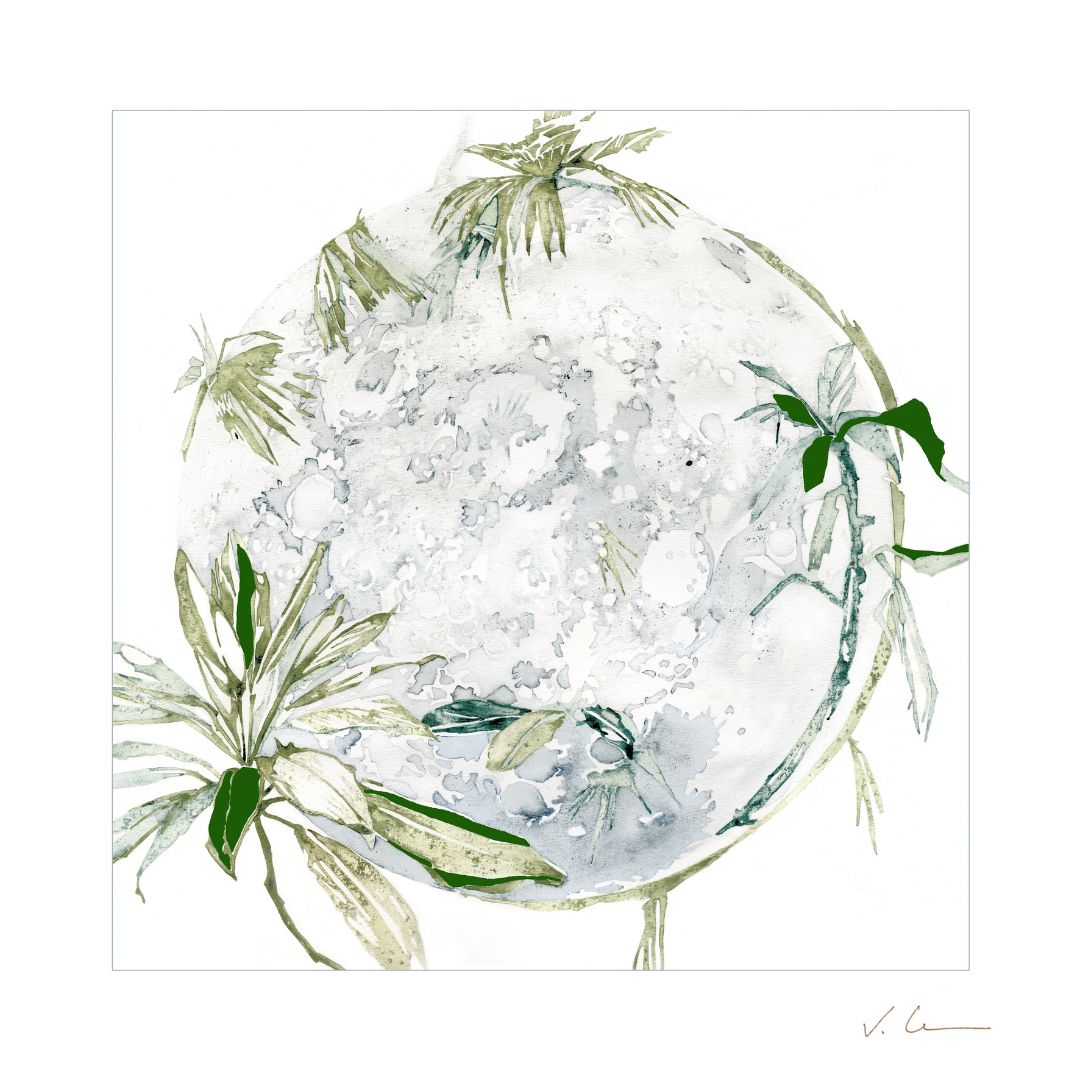 Victoire Cathalan - Feuilles (Vert d'eau)