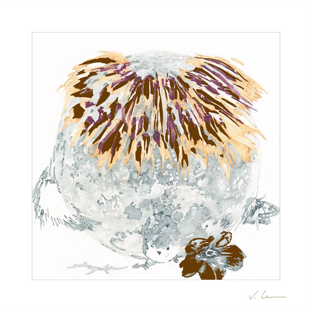 Victoire Cathalan - Plumes (Jaune)