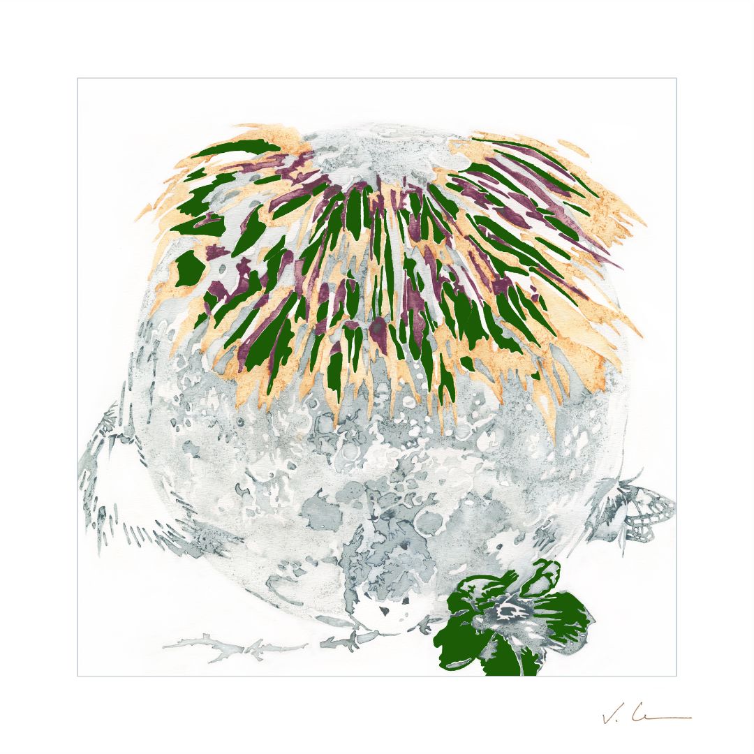 Victoire Cathalan - Plumes (Jaune)
